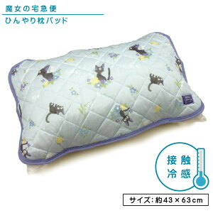 _|Cg2{ 930܂Ł^X^WIWu ̑} Ђ薍pbh 43×63cm lp܂TCY ڐG⊴ ėp ACXu[WW LN^[ ܂Jo[ ȒP N[ ₽