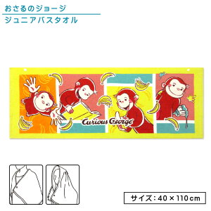 yGg[ōőP6{ 9241:59z̃W[W WjAoX^I 40×110cm 100% ۉH Xibv{^t OՕH oiiLb` LN^[ ۈ牀 ct X|[