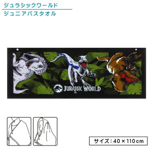 _|Cg2{ 10179:59^WVbN[h WjAoX^I 40×110cm 100% ۉH Xibv{^t OՕH ChWO LN^[ ۈ牀 ct w