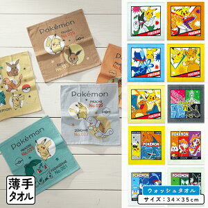 _|Cg2{ 1113܂Ł^|PbgX^[ |P nh^I 34×35cm 100% LN^[ sJ`E zQ[^ NbX jIn U[h EHbV^I ۈ牀 ct 