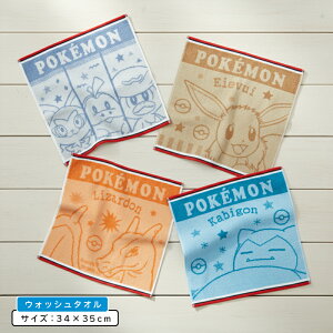 _|Cg2{ 1113܂Ł^|PbgX^[ |P nh^I 34×35cm 100% ߃WK[h LN^[ sJ`E U[h JrS C[uC jIn zQ[^ NbX