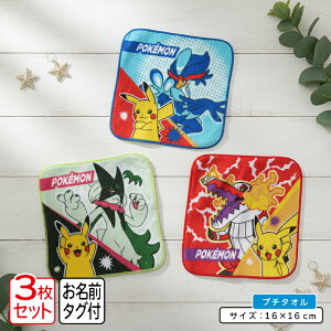 _|Cg2{ 1031܂Ł^|PbgX^[ |P ~j^I Ⴂ 3Zbg 16×16cm 100% l[^Ot LN^[ sJ`E }XJ[j v`^I ۈ牀 ct w