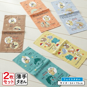 _|Cg2{ 1119܂Ł^|PbgX^[ |P tFCX^I Ⴂ 2Zbg 34×75cm 100% LN^[ sJ`E C[uC qgJQ tVM_l [jK @^I 