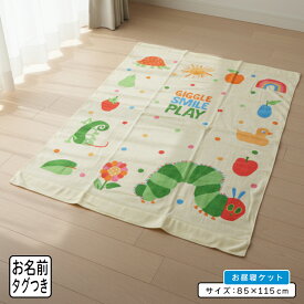 ＼ポイント2倍 1月24日19:59まで／【メール便送料無料】はらぺこあおむし タオルケット ハーフサイズ 85×115cm 絵本作家 エリック カール 綿100% ネームタグ付き キャラクター お昼寝ケット 保育園 幼稚園 子供 キッズ ジュニア かわいい 男の子 女の子 [okt]