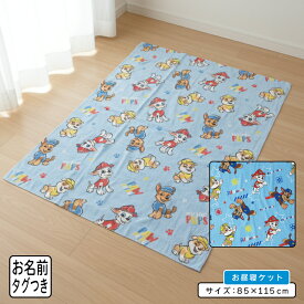 ＼ポイント2倍 1月24日19:59まで／【メール便送料無料】パウパトロール タオルケット ハーフサイズ 85×115cm 綿100% ネームタグ付き キャラクター お昼寝ケット 保育園 幼稚園 子供 ジュニア キャラクター パウ・パトロール 男の子 女の子 かわいい [okt]
