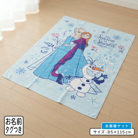 ＼ポイント2倍 1月24日19:59まで／【メール便送料無料】ディズニー アナと雪の女王 タオルケット ハーフサイズ 85×115cm 綿100% ネームタグ付き プリンシプル キャラクター お昼寝ケット 保育園 幼稚園 おひるねケット 子供 お昼寝タオルケット 女の子[okt]