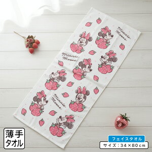 _|Cg2{ 1116܂Ł^fBYj[ tFCX^I 34×75~80cm 100% Xgx[ LN^[ ~j[}EX @ @^I ɂ @^I ƂĂ劈[ft1]y[