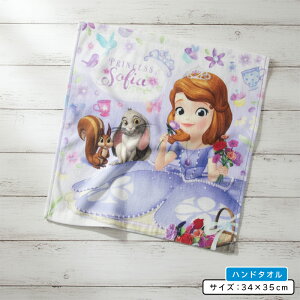 _|Cg2{ 1113܂Ł^fBYj[ ȃvZX \tBA nh^I 34×35cm 100% CNWFbgvg LN^[ EHbV^I ۈ牀 ct w ̎q 