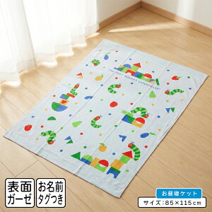 yGg[ōőP6{ 111:59zy[֑z͂؂ނ ^IPbg \K[[ n[tTCY 85×115cm ςݖ؃hbg 100% l[^Ot LN^[ QPbg 