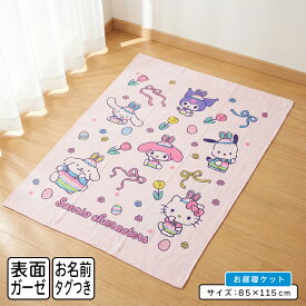 ＼ポイント2倍 1月24日19:59まで／【メール便送料無料】サンリオ キャラクターズ タオルケット 表ガーゼ ハーフサイズ 85×115cm 綿100% ネームタグ付き キャラクター お昼寝ケット 保育園 幼稚園 子供 キッズ ジュニア かわいい 女の子 [okt]