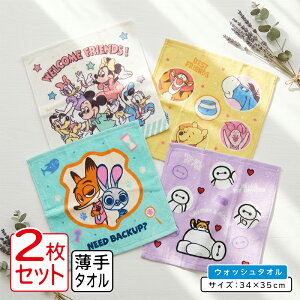 _|Cg2{ 419:59܂Ł^fBYj[ nh^I Ⴂ 2Zbg 34×35cm 100% LN^[ ~bL[}EX ~j[}EX ܂̃v[ EHbV^I ۈ牀 ct w j