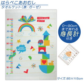 楽天市場 はら ぺこあおむし タオルケットの通販