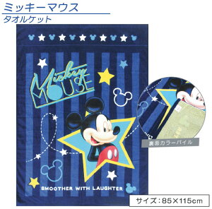 ディズニー ケット 毛布 タオルケット 通販 価格比較 価格 Com
