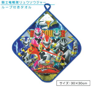 _|Cg2{ 1113܂Ł^yAEgbgACezRm E\EW[ [v^I 30×30cm l[^Ot RۉH Avg }CNt@Co[ LN^[ ۈ