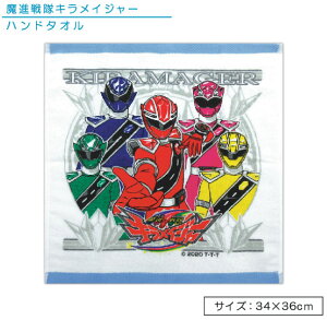 _|Cg2{ 1130܂Ł^yAEgbgACezi LCW[ nh^I 34×36cm 100% LN^[ EHbV^I ۈ牀 ct w j̎q ̎q 킢 L