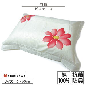 _|Cg2{ 1031܂Ł^yAEgbgACez s[P[X 45×65cm 100% RۖhLH SJt@Xi[ t[ ܂Jo[ sP[X l Jo[y[OKz