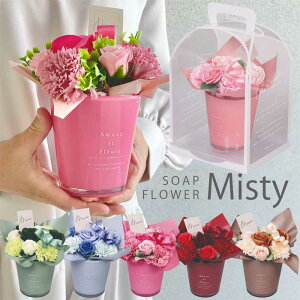  y \[vt[ V{t[ Misty@Ό@̓@hV̓@a@v[g @