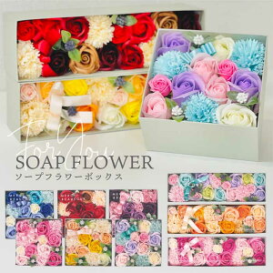 y  ސE@ʁ@ \[vt[@vU[uht[ Mtg v[g 蕨 av[g   j   ԃMtg@j җj