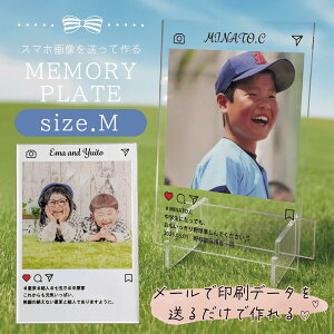 SNSANv[g(MTCY) O聕ʐ^ EɂЂƂ̃IWiMtg a LO j   CeA