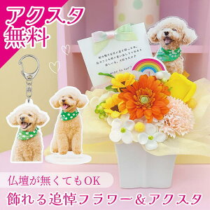 [t[AW@ANX^h@L[z_[@ԁ@a@Mtg@Ɓ@LOi@@\[vt[@@FB@ޏ@ybg@ԁ@@C{[@