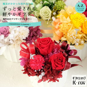 yVLO1ʁ @ y vU[uht[ vU|bg Mtg 蕨 av[g    j җj LO ސEj JXj