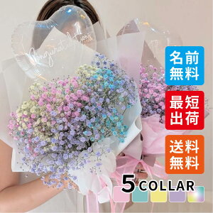 yŒZcƓoׁzJX~\Etn[go[u[P@ꖳ@@a@Ǝ@w@j@v[g@t[u[P@ݑ@Jt@v|[Y@