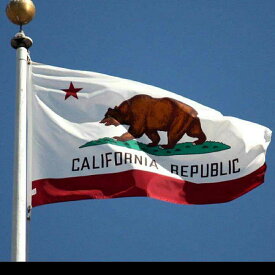 カリフォルニア フラッグ 州旗 タペストリー ビッグフラッグ California アメリカン 雑貨 西海岸 インテリア バナー 大型 90cm×150cm メール便無料