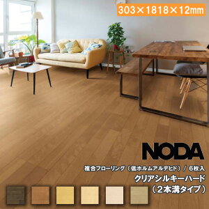 yzN[|z NAVL[n[h 303×1818×12~ 6 CSHS1 NODA m_ t[O ރv イ ^ց
