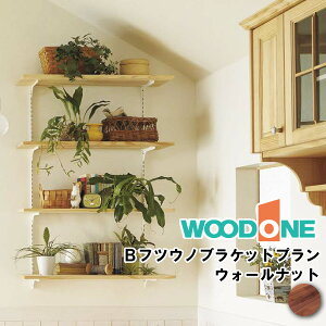 B tcEmuPbgv rO_CjO  EH[VFt ǖʎ[ FN-005 Ebh WOODONE ރv イ ^ց