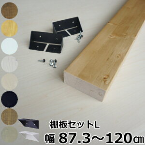 yzN[|zACA 2×4IZbgL IZbgLΉ@1 LABRICOuRp2×4-ma