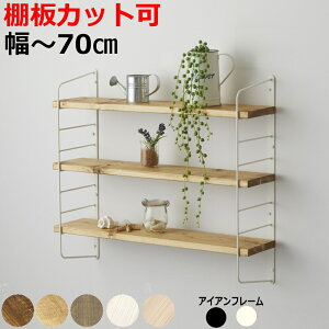 VFtt[6iEjLABRICO uR IZbgACA X`[ ؐ Ebh VFt V ǖʎ[ ΍p{[h  X bN I  CeALH 