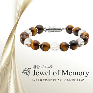 ⍜WG[ Jewel of Memory ⍜uXbg umv  VR ^CK[AC  茳{ ybg{ XeX ⍜