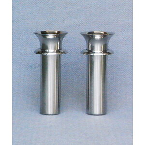 XeXcotԗ48co145mm 10{i5΁ji݃^Cvj@y摕piz