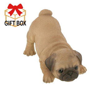 y2024NVi zpO hAXgbp[ QB-006A Benny's(xj[Y) g u   K[f v[g Aj}  IuWF Ck   킢