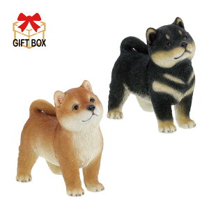 QB-029y  z@Vo@17.3×10.2×H17.3cm@fށF|W@Benny's(xj[Y)g΁@u@ց@@K[f@v[g@Aj}@@IuWF@GNXeA@Č@