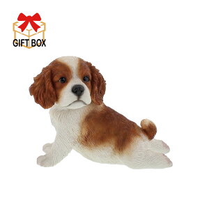 QB-028Ky  z@LoA Xgb`@18.6×11.3×H14.3cm@fށF|W@Benny's(xj[Y)g΁@u@ց@@K[f@v[g@Aj}@IuWF@GNXeA