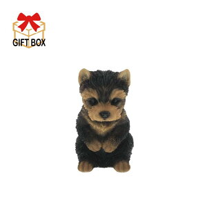 yz [NV[ QY-168  10×15×H18Z` f:|W Benny's (xj[Y) g u   K[f v[g Aj} IuWF Mtg GNXeA CeA