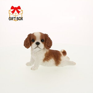 QY-194 LoA イ@8.5×18.5×H12.5Z`@fށF|W@Benny's(xj[Y)g΁@u@ց@@K[f@v[g@Aj}@IuWF@GNXeA