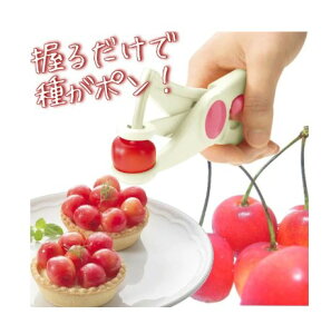  txW ڂ̎ 38913 TN{ `F[ t[c WÂ W ֗ ˎ  Ƃ  ȒP 邾 W ^g Lb`p y