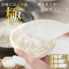 冷凍ごはん容器 極 マーナ ごはん容器 保存容器 セット 冷凍ご飯 容器 2個 4個 6個 セット 冷凍ご飯容器 密閉 お米 ごはん 冷凍 冷凍保存 レンジ可 お弁当 ご飯容器 食品保存容器 食品保存 セット K748