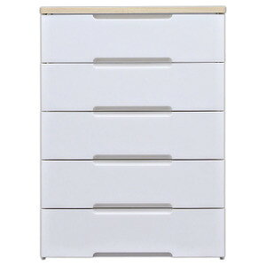 yzᕝ73cm×5iEbhgbv`FXg HG-725RNNo`FXgy[P[X/o[z z