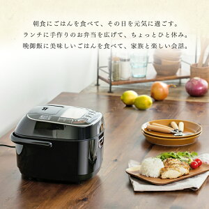 炊飯器3合一人暮らしRC-MC30-Bブラック新生活あす楽対応米屋の旨み銘柄炊きジャー炊飯器銘柄炊銘柄炊き炊き分けスイハンキジャー炊飯器すいはんき米おこめ家電生活家電キッチン家電ごはんご飯gohan炊飯ジャー調理家電アイリスオーヤマ