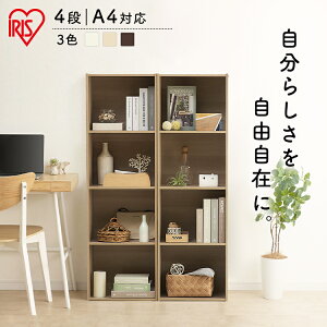 [{bNX [I  J[{bNX A4 l炵 4i {bNX BOX o X I rO[ J[{bNX4i 41.4×s29.0×134.6cm CX-4F {I  [ ВI