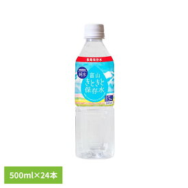【保管目安5年】富山きときと保存水 500ml×24本 保存水 500ml 飲料 小型 備蓄