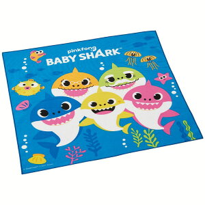 `NX ٓ xCr[V[N KB4`NX ct w qp ` XP[^[