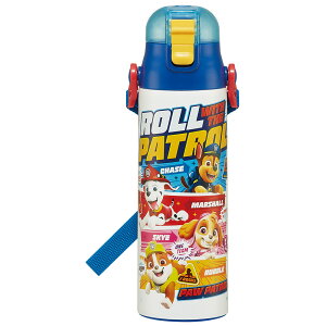 _2024NŐV\pbLt^ LbY  ^b` y ۗ XeX  580ml skater XP[^[SDC6N q LN^[ bN@\t  Rt g~J vZX 