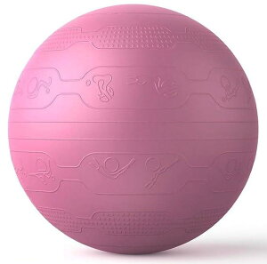 PROIRON �o�����X�{�[�� 65cm �΂�񂷂ځ[�� �g���[�j���O�K�C�h�p�^�[���t�� ���� �W���{�[�� �o�����X�{�[�� �֎q �X�|�[�c �ω׏d300KG �A���`�o�[�X�g��C����t�� (6�F)