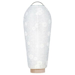 d cX ~j ~ ~傤 V~p()V u퐶v390125cm×Α܌a10cm  R[hX u ؖt