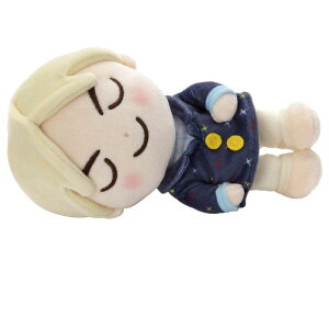 TinyTAN ₷th ʂS Jin 19cm