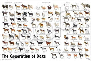 G|bNЁiEPOCHj 1000s[X WO\[pY /ybg  ̌n} i50×75cmj 12-625s ̂t wt _t